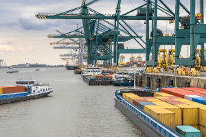 Personale impiegato nell’impianto o nel porto, per il quale la necessità di un’adeguata istruzione sia prevista nei piani di sicurezza del porto e dell’impianto portuale