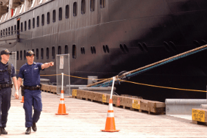 CSO Company Security Officer